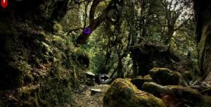 Amazon haunted forest soluce
