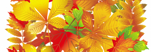 ☀️ Autumn