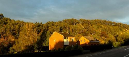 Rousses, ocres, cuivrées, couleurs d'automne