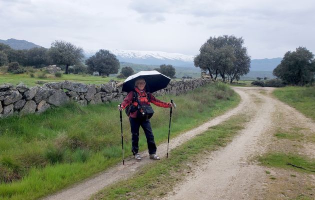 Saint Jacques de Compostelle, le 11/04/2025, de Calzada de Bejar à Fuenterroble, 20,2 km