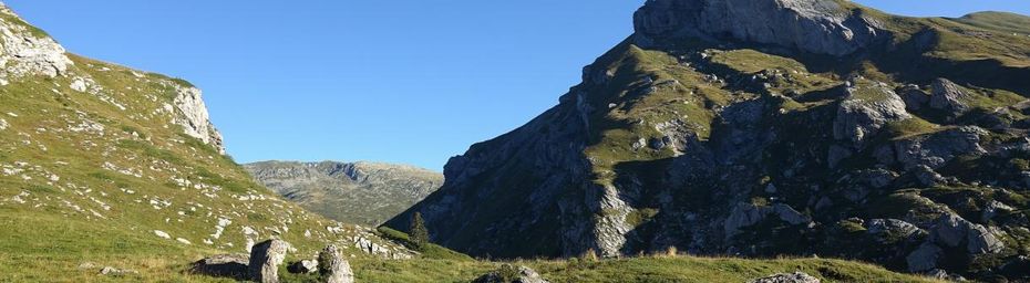 Souriant Beaufortain