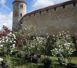 Blandy les Tours 2024 : les gagnants 