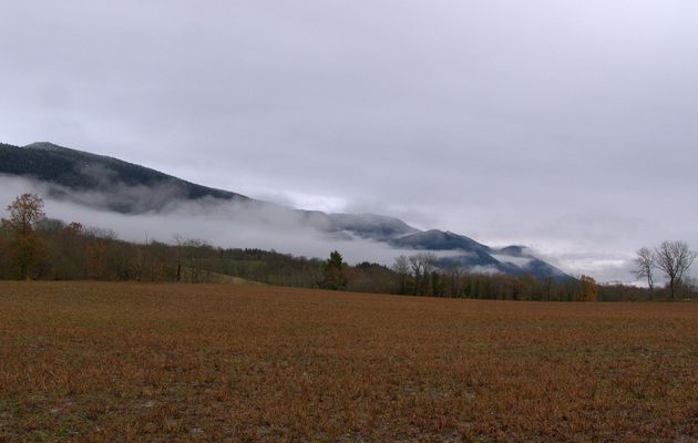 Le 1er décembre 2019 : à la Grange d'en Haut