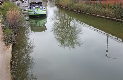 Qui a mangé le poisson au 1er avril
