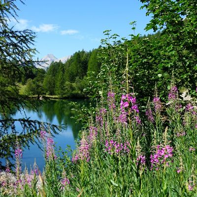 Le Lac d'Estenc.