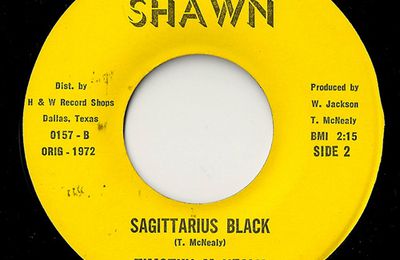 Timothy McNealy : Sagittarius Black