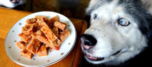 Lakseolie til hund