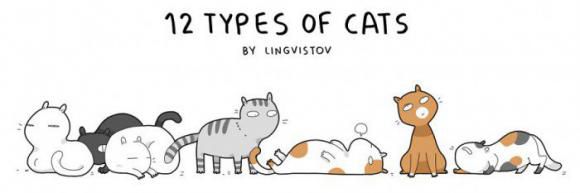 Les types psychologiques du chat
