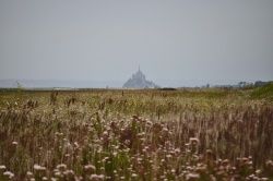 Contre vents et marées...