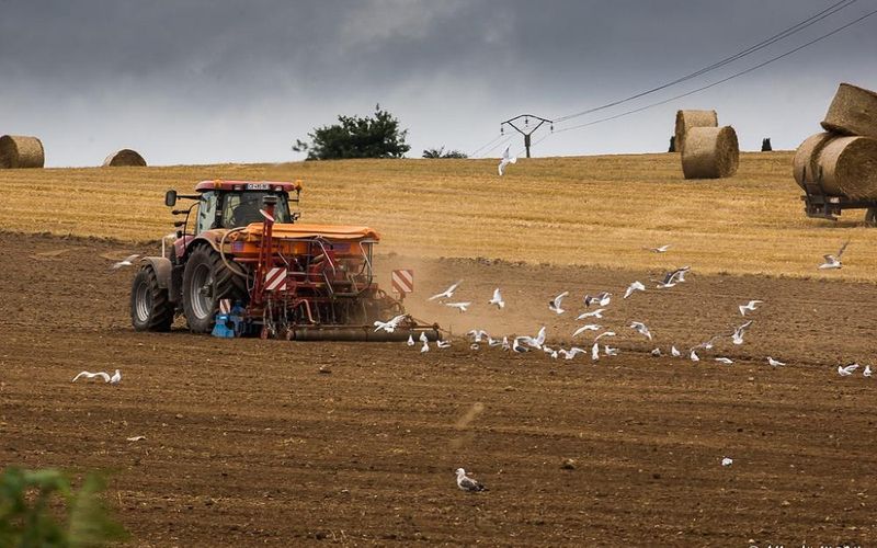 Bretagne  - 7 août 2013 - Morlaix