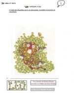 "Léo" de Robert Kraus en GS-CP sur un jour