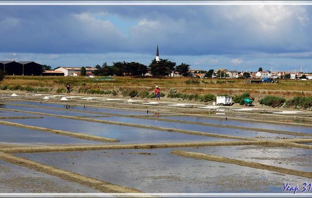 Ars-en-Ré : son clocher, ses marais salants, ses paludiers - Ile de Ré - 17 