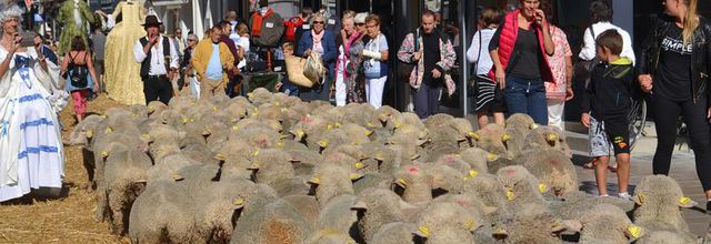 Rambouillet : Fête de la Saint Lubin ... Petite histoire