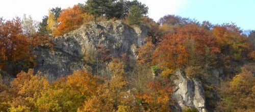 Bel automne