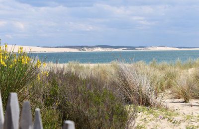 EB - La Pointe au Cap-Ferret - mai 2023...