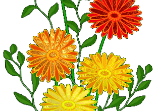 La légende du dahlia