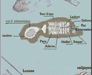 Les Paludiers de Guérande et de ses environs (suite)