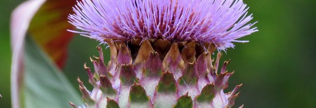 ou est tu ?  hi hi hi