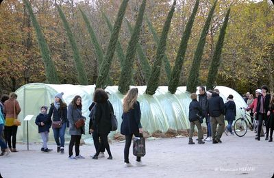 Jardin des Tuileries : FIAC 2017 : "Serre Cyprès Florence" Patrick Saytour (1987)
