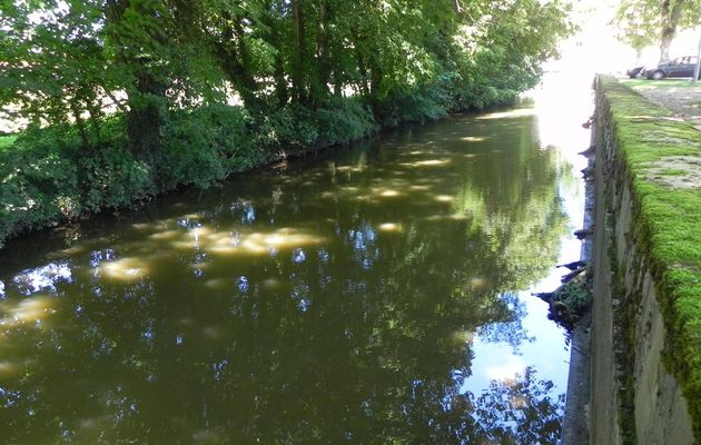Reflets à Charolles