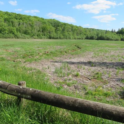L'étang inférieur des Marots n'est toujours pas remis en eau en juin 2025...