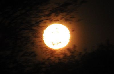 EB - La lune rose du 8 avril 2020...