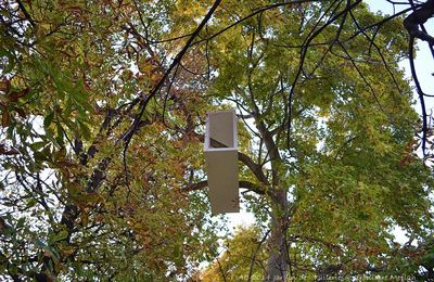 FIAC 2014 Jardin des Tuileries : "Beautiful Tube" de Lang et Baumann