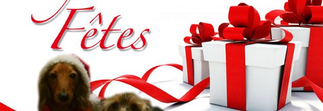 Bonnes fêtes à tous et toutes!