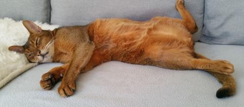 Invitation au repos ! 