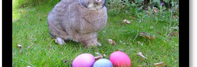 Joyeuses Päques à tous