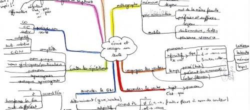 Carte heuristique / mind map/carte mentale