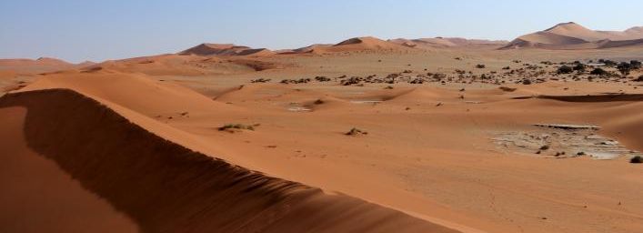 Erg du Namib, la dune 45