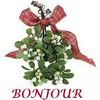 Petites cartes/Cartonnettes Bonne Année !