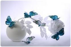 Majestueuse Lune et ....