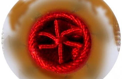 LÉGION D'HONNEUR, UN ORDRE DOMESTIQUE