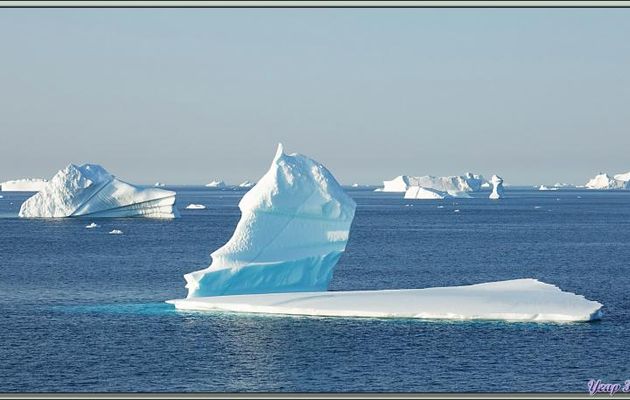 Rencontre avec un voilier - Cap York (Innaanganeq) - Groenland
