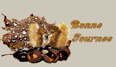 CHAUDS LES MARRONS DU MARCHE!
