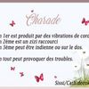 Lot de la charade VOISINAGE