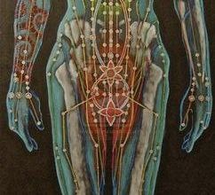 Planche des chakras, un arc-en-ciel !