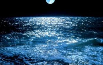 Amour Lunaire