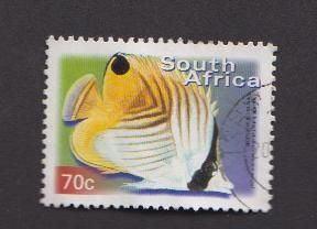 Threadfin butterflyfish ou poisson papillon jaune - Afrique du sud