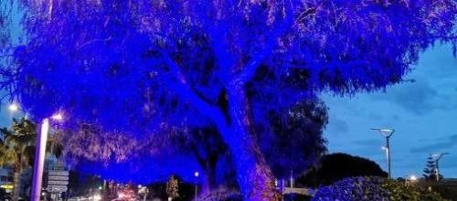 arbre bleu 