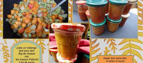 Compote Rhubarbe / Abricot