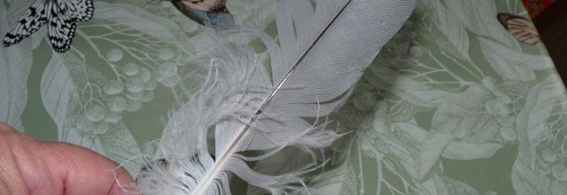 GRIS encore ce lundi