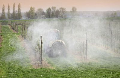 39 substances trouvées sur des pommes vendues en grandes surfaces