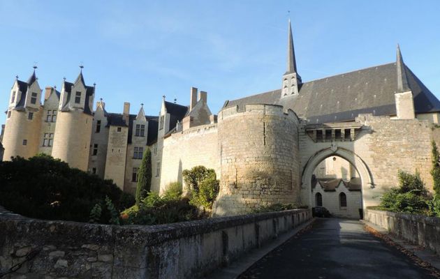 Montreuil-Bellay dept 49 - 3