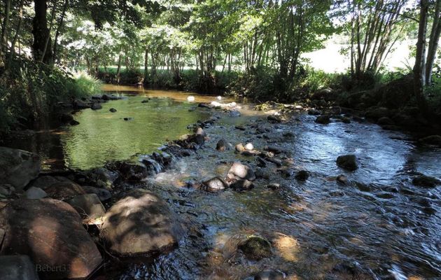 une jolie rivière
