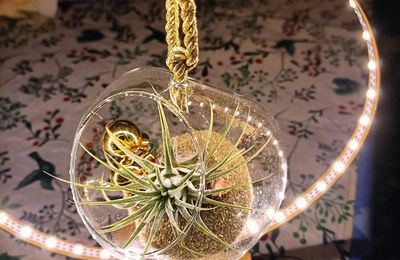 EB - Boule lumineuse avec tillandsia...