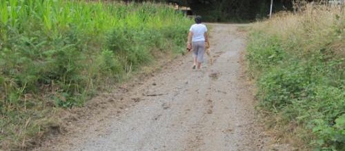 Des chemins ruraux restaurés