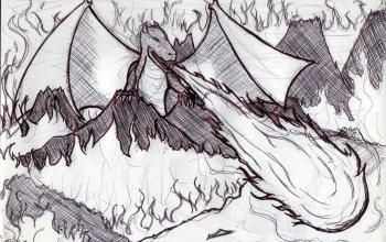 Les 1er croquis 2015